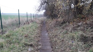 ./zelen/01/06-nahled.jpg
