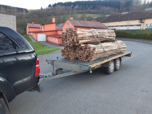 ./zelen/01/18-nahled.jpg
