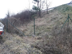 ./zelen/02/20191202_091450-nahled.jpg