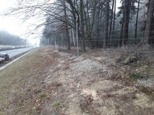 ./zelen/02/20191206_094847-nahled.jpg