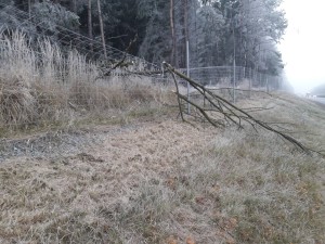./zelen/02/20191206_105254-nahled.jpg