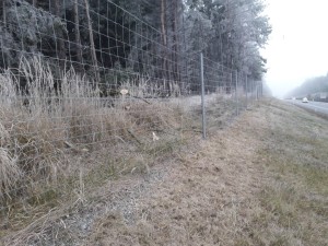 ./zelen/02/20191206_110110-nahled.jpg